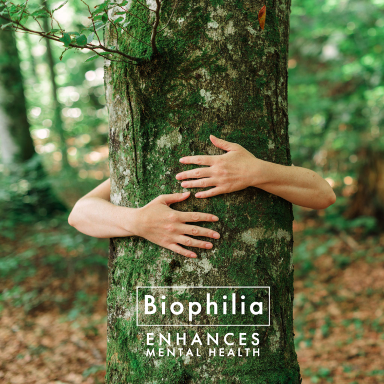 Create A Biophilia Experience To Enhance Mental Health - BLR Visual ...